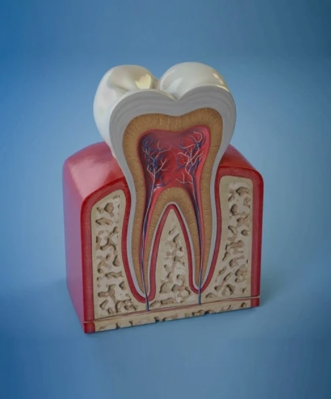 Treatment -  Smile & Beyond